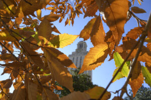 The top of the Tower seen through a cluster of burnt orange leaves on a tree beside the turtle pond.