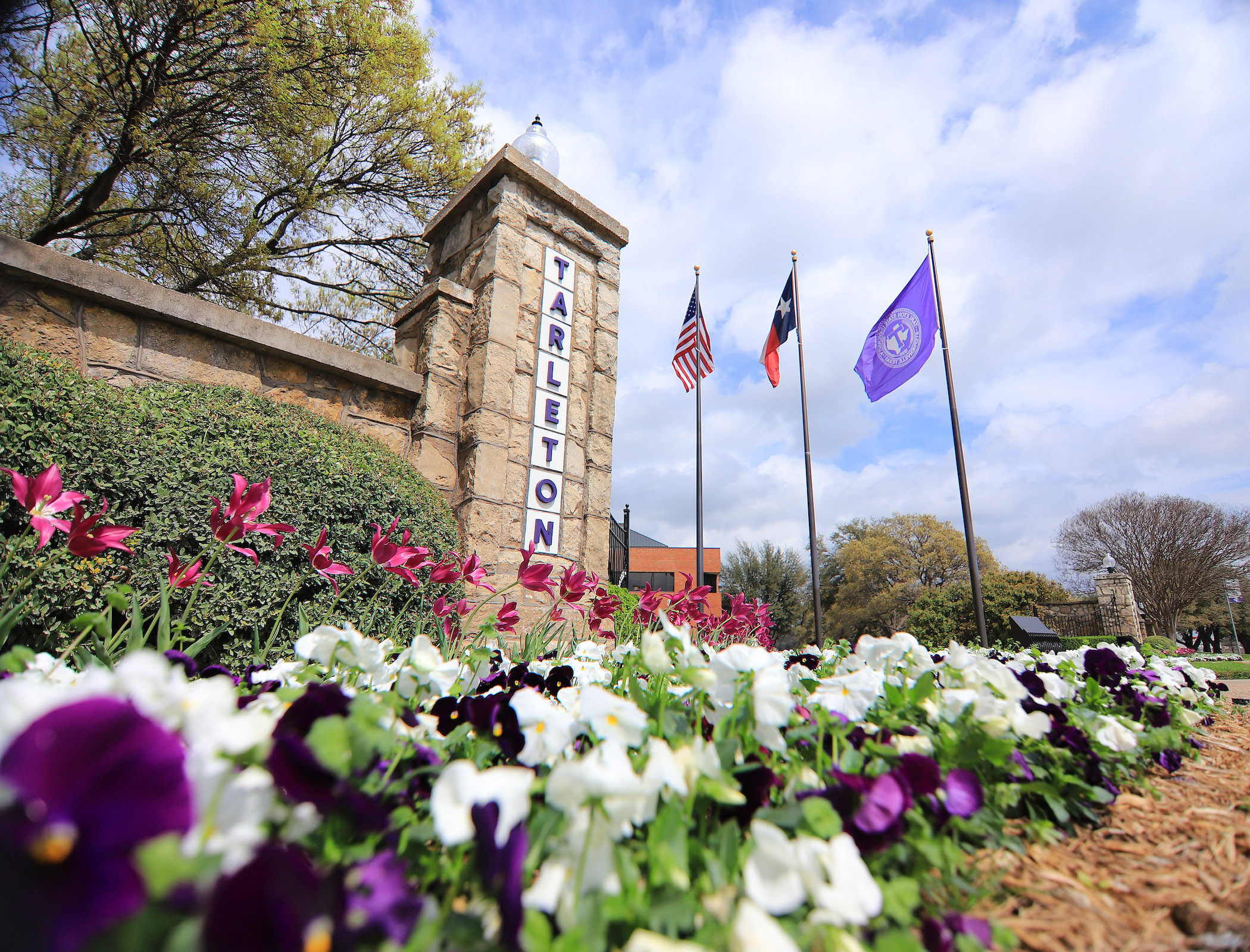 OnRamps Partnership Brings Together UT Austin and Tarleton State